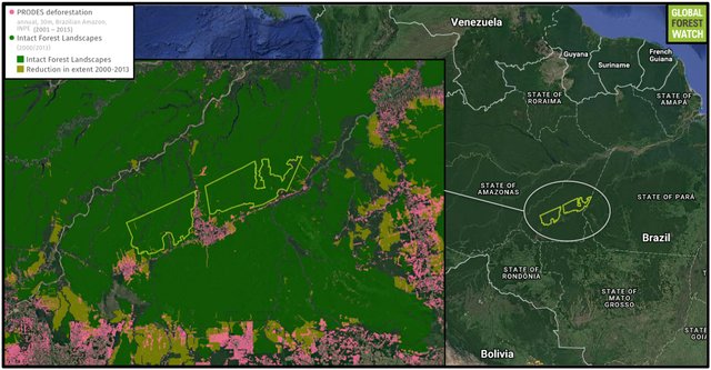 نگرانی صلح سبز از طرح پیشنهادیِ کاهش مناطق حفاظت‌شده در برزیل