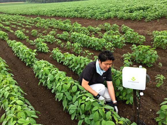 گروه‌های مخابراتی ژاپنی از کشاورزی هوشمند در آن سوی مرزها حمایت می‌کنند/ هیتاچی، حامی کشاورزی هوشمند در خارج از ژاپن