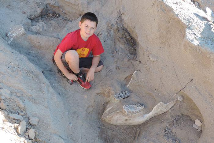 کشف فسیل یک میلیون ساله توسط یک نوجوان+عکس