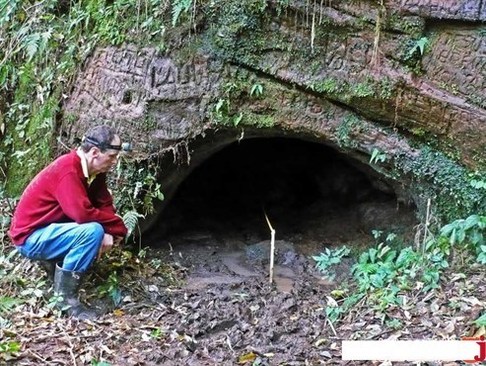 تونل‌های عظیمی که تنبل های ماقبل تاریخ آنها را حفر کرده‌اند! (+عکس)