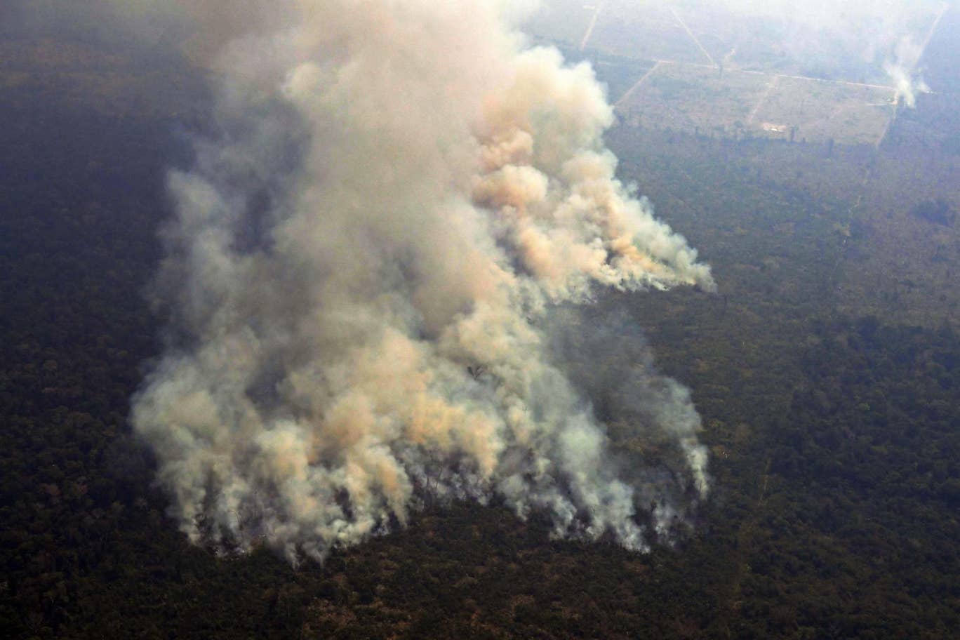 آتش سوزی در آمازون به بحرانی بین المللی تبدیل شد