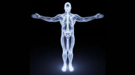 شناسایی مکانیسم کاهش اشتها در استخوان‌ها