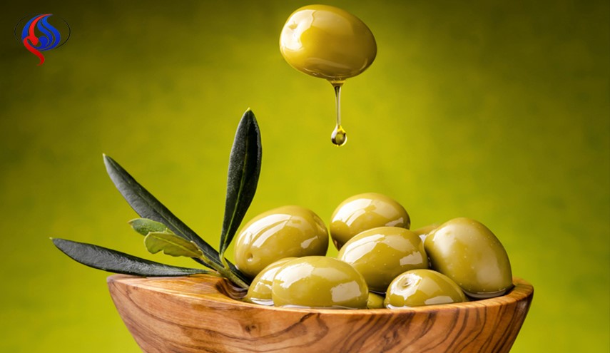 شگفتی دانشمندان از کشفی جدید درباره روغن زیتون