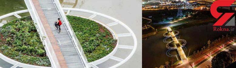 پل شگفت انگیز طبیعت در سائو پائولو |+عکس های دیدنی