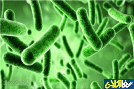 برگزاری هجدهمین کنگره بین المللی میکروب شناسی