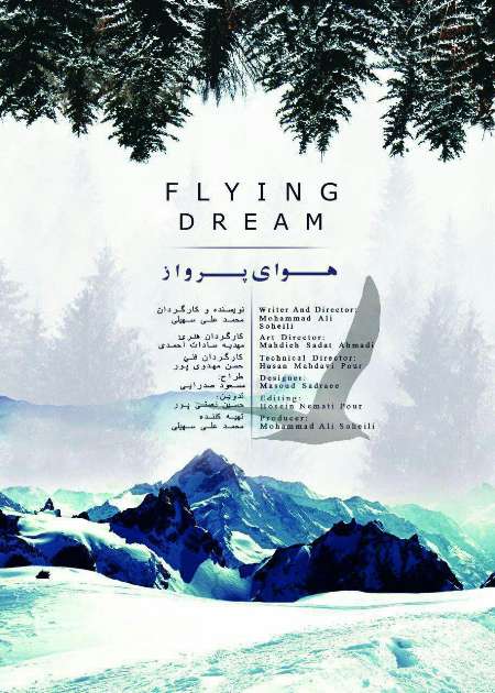 اثر هنرمند تربت حیدریه به جشنواره پنج قاره رفت