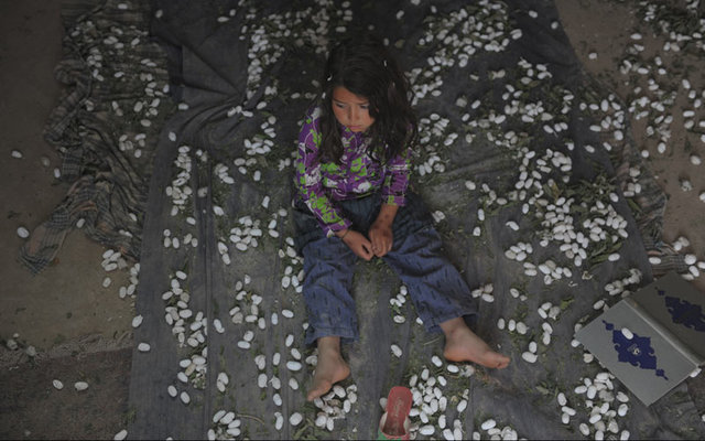 «نفس» مسافر «سائوپائولو» شد