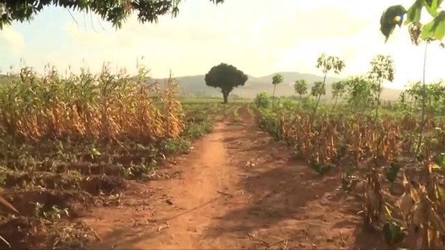 اعلام وضعیت اضطراری خشکسالی در برزیل